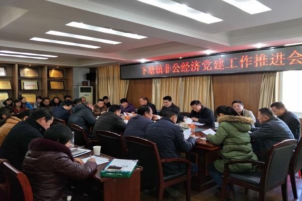 下塘镇四加强四提升续写非公经济党建工作新篇章.jpg