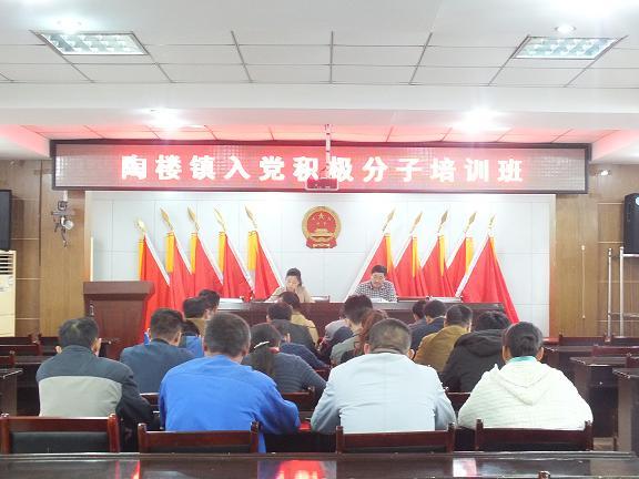 陶楼镇强化入党教育，严把党员入口.JPG