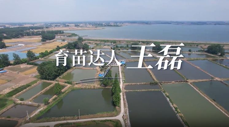《育苗达人--王磊》