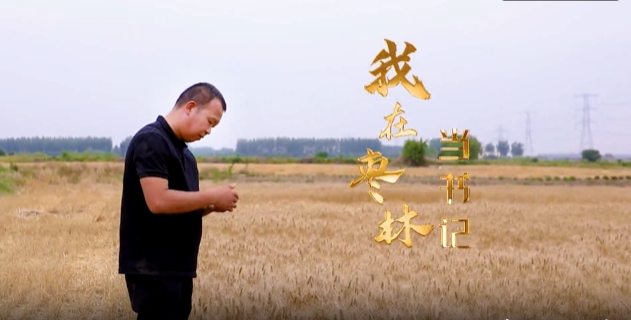 《我在枣林当书记》